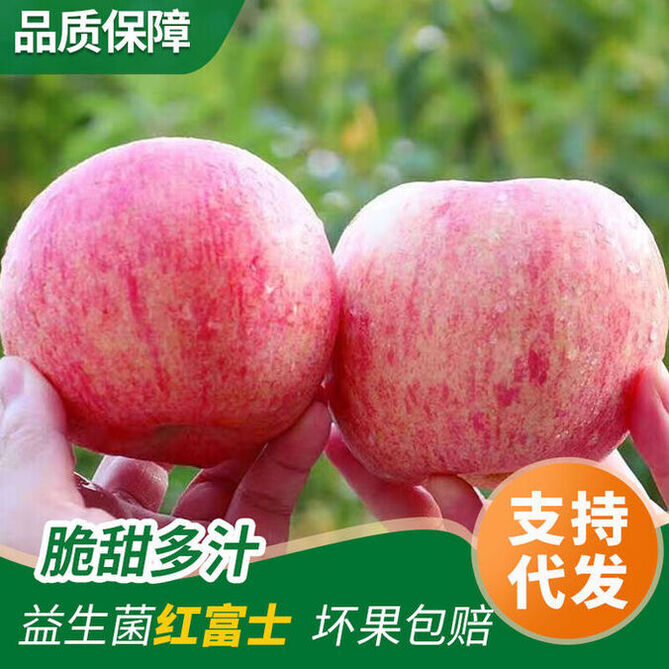 山东烟台红富士苹果自家果园4斤装新鲜水果脆甜多汁苹果净重3斤70-75mm