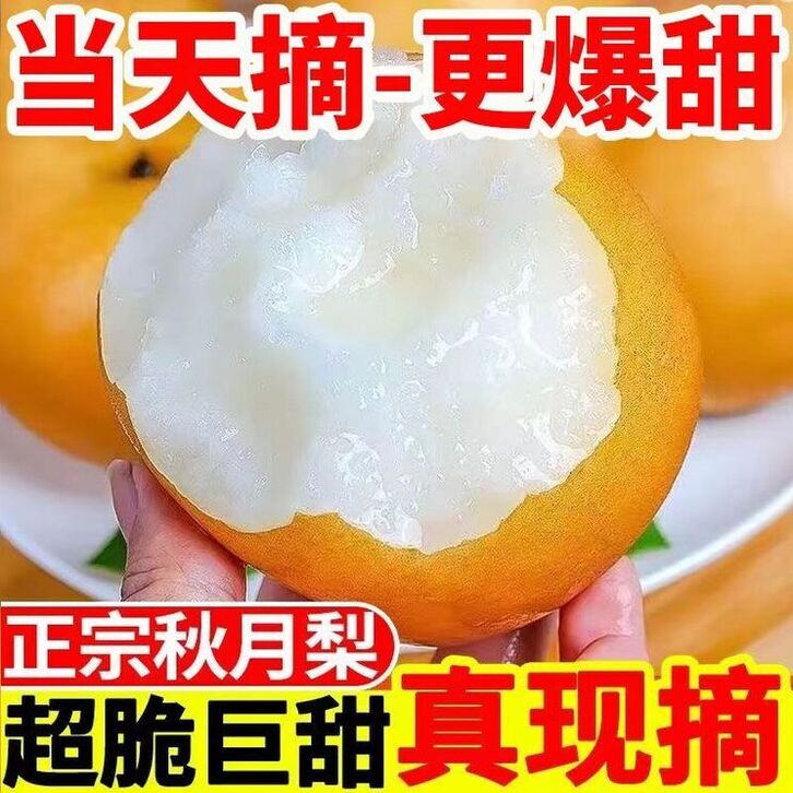 【带箱5斤】正宗秋月梨新鲜水果脆甜多汁皮薄肉厚细腻化渣润喉鲜